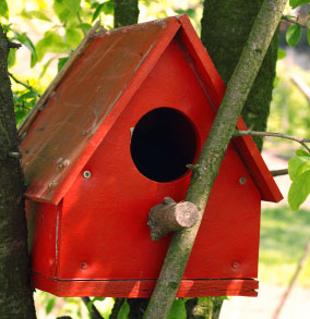 nest box