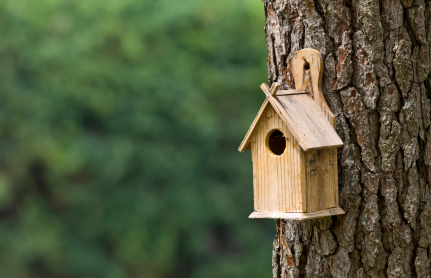 nest box