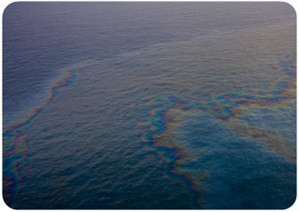 oil spill in the Gulf of Mexico
